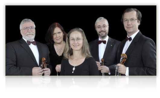 Bratschen-web-schatten