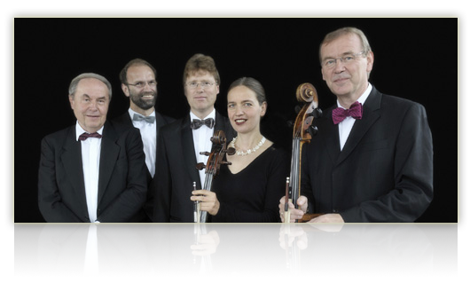 Cello Bass Cembalo-web-schatten